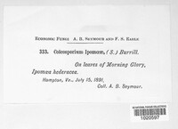 Image Associated With the Occurence
